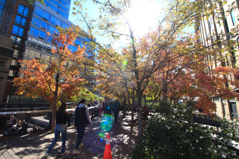 High Line - Nowy Jork