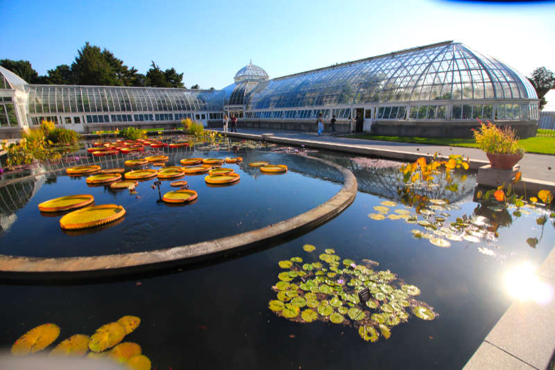 Ogród Botaniczny - Nowy Jork